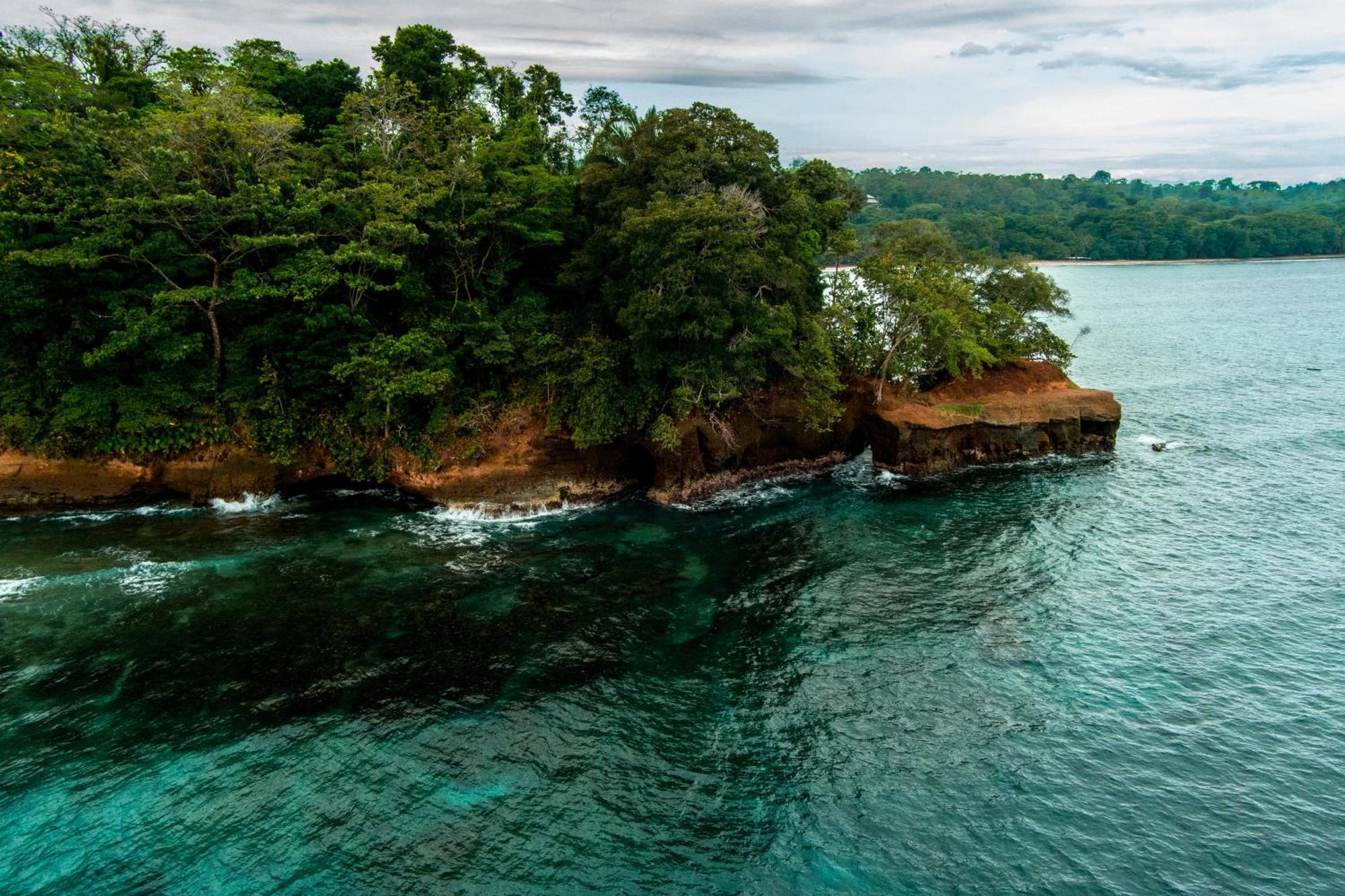 Villas Mapache Del Caribe Puerto Viejo de Talamanca Eksteriør bilde